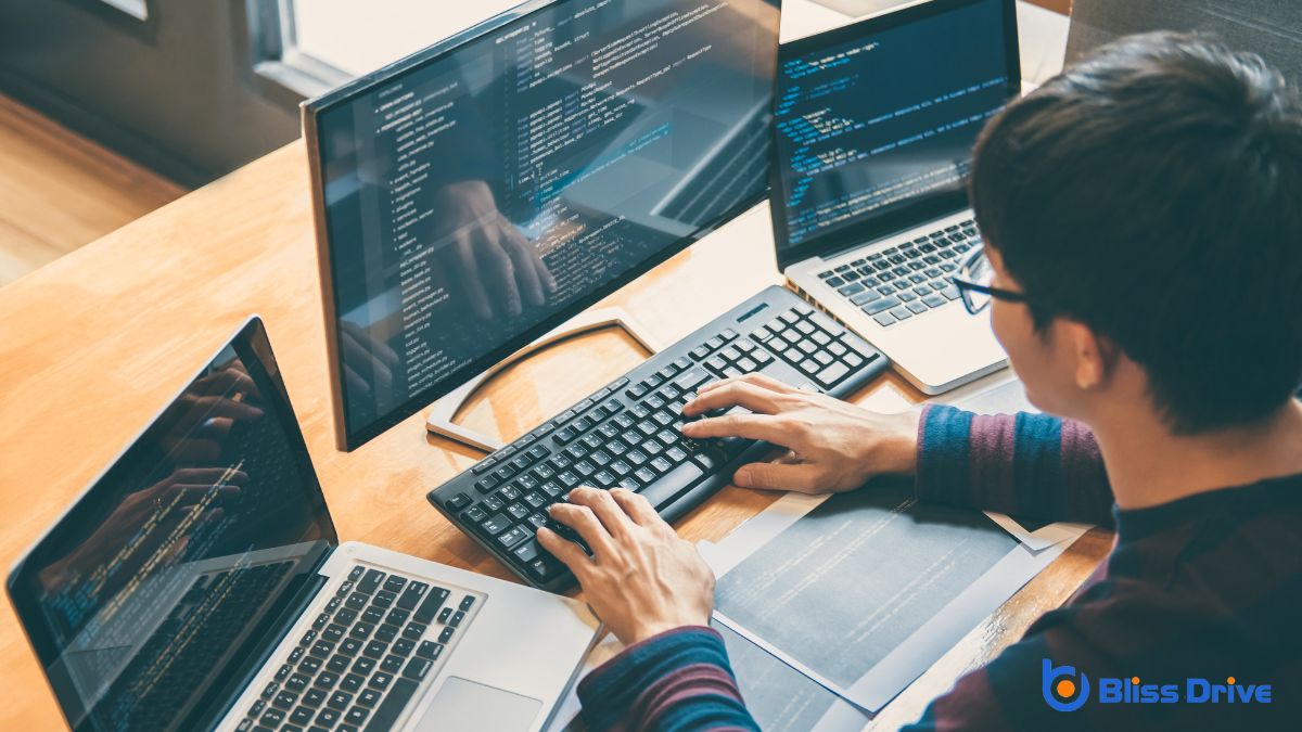 Do I Need a Web Designer or Developer